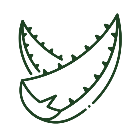 5% Niacinamide Daily Moisturizer 50ml