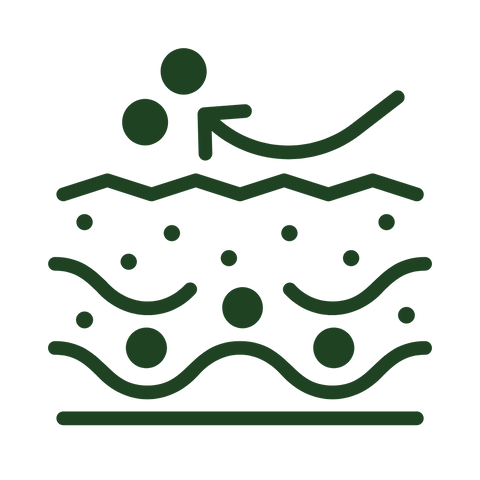 Le kit de nettoyage et d'affinage