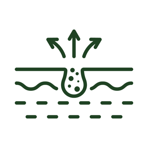 Le kit de nettoyage et d'affinage