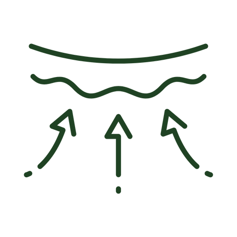 Peptide Face & Neck Night Cream 50ml