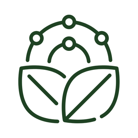 Vitamin Rich (Vitamin A, B3, E, F & Ferulic Acid) 30ml