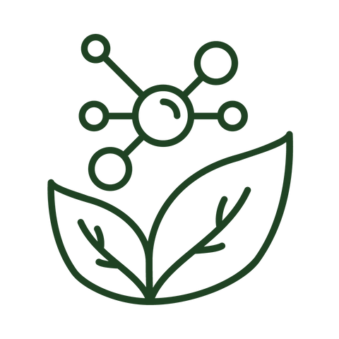 Triple Vitamin C Serum 30ml